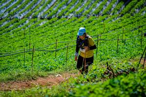 BIB: 
                            <button type="button" onclick="openModal(19164665)" class="btn btn-primary btn-sm float-right btn-popup" data-toggle="modal" data-target=".modal-high-quality">
                        <i class="fas fa-shopping-cart"></i> Add to Cart
                    </button>
                                            <button type="button" onclick="isThisMe(19164665, true)" class="btn btn-success btn-sm float-right btn-popup btn-isme hidden" data-toggle="tooltip" data-placement="bottom" title="นี่คือรูปของคุณใช่ไหม คลิกที่นี่เพื่อเอาเข้าอัลบั้ม">
                        <i class="fas fa-plus"></i> Add to album
                    </button>
                    <button type="button" onclick="isThisMe(19164665, false)" class="btn btn-warning btn-sm float-right btn-popup btn-isnotme hidden">
                        <i class="fas fa-ban"></i> Remove from album
                    </button>